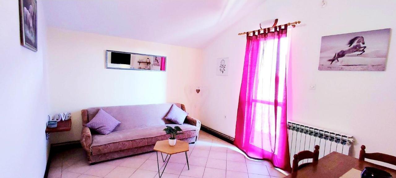 Apartmani Drazi Plimica 沃迪切 外观 照片